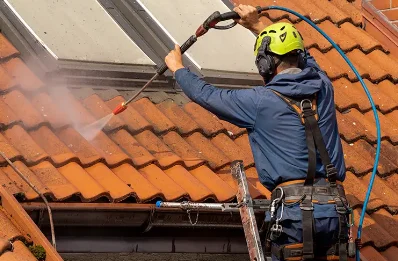Démoussage et hydrofuge de toiture à Monguilhem